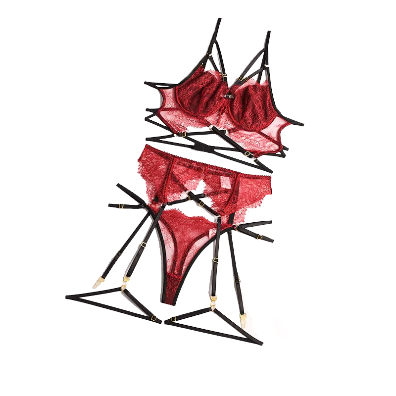 Sheer Bra Lace - Nieuwe Kant Sexy Lingerie Transparante Hot